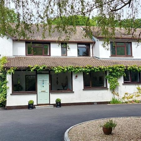 Riverfield Bed&Breakfast Gorey Exterior foto