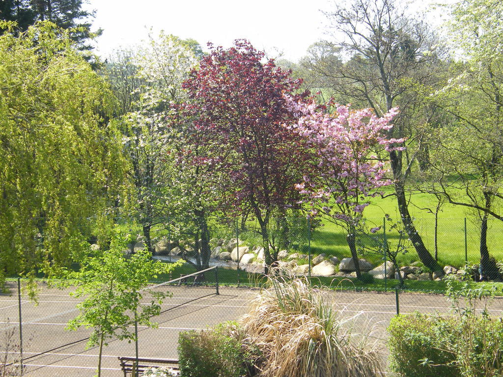 Riverfield Bed&Breakfast Gorey Exterior foto