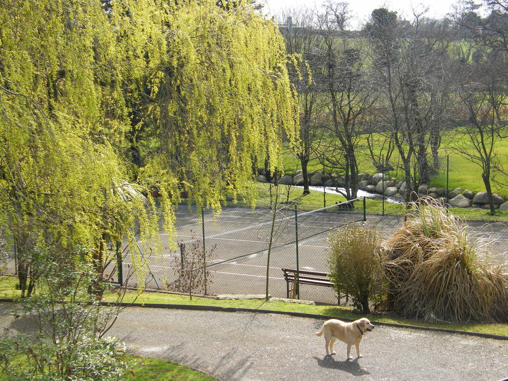 Riverfield Bed&Breakfast Gorey Exterior foto