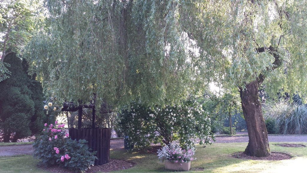 Riverfield Bed&Breakfast Gorey Exterior foto