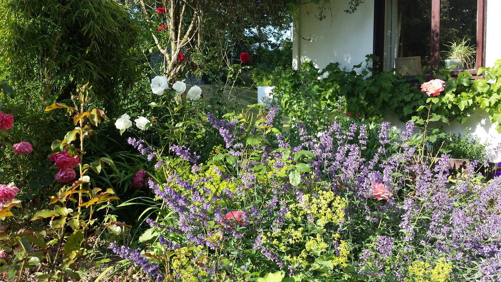 Riverfield Bed&Breakfast Gorey Exterior foto