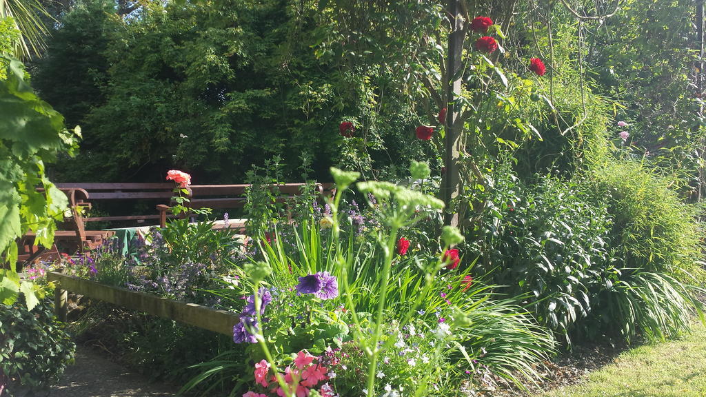 Riverfield Bed&Breakfast Gorey Exterior foto